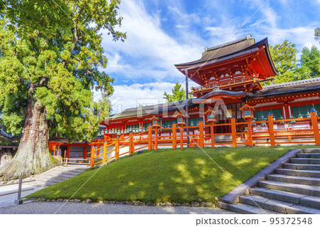 清晨的陽光透過樹木映入眼簾的美麗春日大社本社 95372548