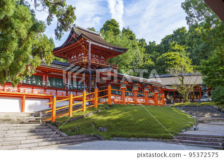 清晨的陽光透過樹木映入眼簾的美麗春日大社本社 95372575