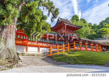 The main shrine of Kasuga Taisha where the morning sunlight filtering through the trees is beautiful The main shrine of Kasuga Taisha where the morning sunlight filtering through the trees is beautiful 95372581