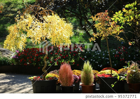 Arboretum, Beautiful Garden, Pinnacle Land, Hwasu Arboretum 95372771