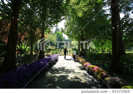 植物園, 美麗的花園, Pinnacle Land, Hwasu 植物園 植物園, 美麗的花園, Pinnacle Land, Hwasu 植物園 95372904