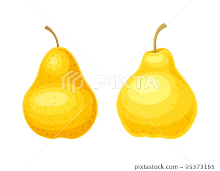 Whole Ripe Pear Pomaceous Fruit as Organic Garden Crop Vector Set Whole Ripe Pear Pomaceous Fruit as Organic Garden Crop Vector Set 95373165