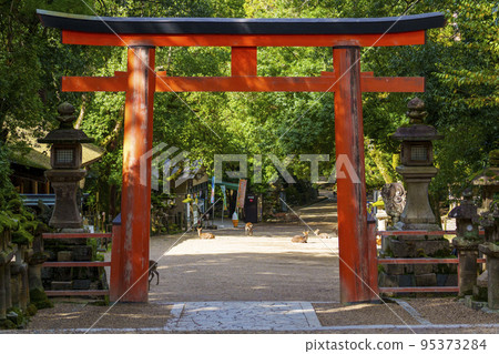 一個空曠的早晨。春日大社第二鳥居門前，一片寂靜 95373284