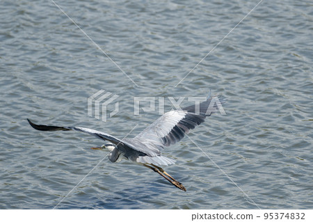 Fly Aoshagi 95374832