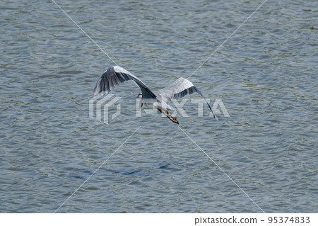 Fly Aoshagi 95374833