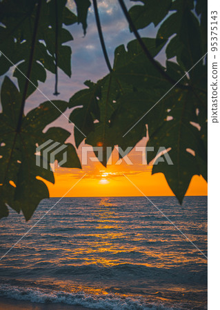 Sun framed between leaves and tree branches, at sunset. Lake Victoria,Tanzania. 95375143