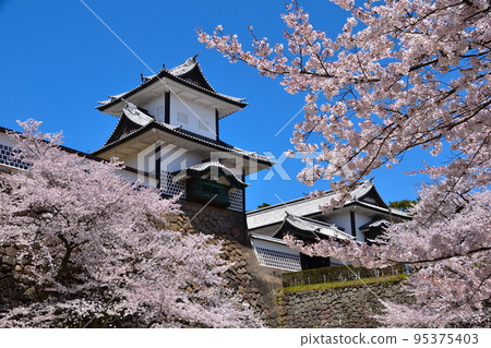 Sakurakage Kanazawa Castle 95375403
