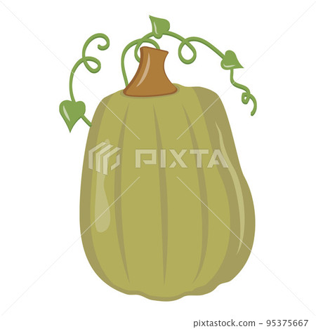 Autumn vegetable pumpkin, color vector isolated illustration icon 95375667