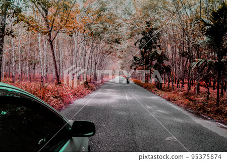 car and motorcycle travel on the way at Thailand countryside car and motorcycle travel on the way at Thailand countryside 95375874