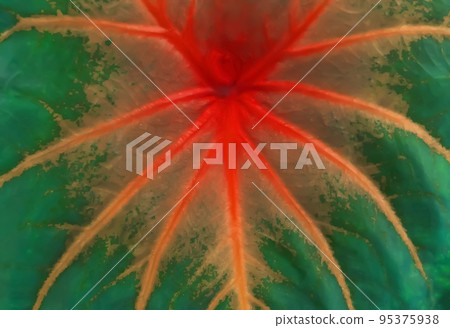 red and green colorful leaf texture background red and green colorful leaf texture background 95375938