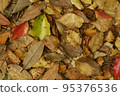 Can you see the camouflage? Part 2 Correct Answer 95376536