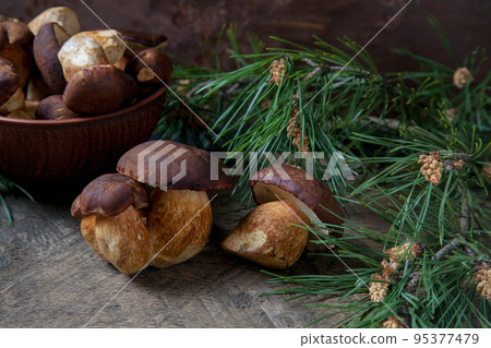 Imleria Badia or Boletus badius mushrooms commonly known as the bay bolete and clay bowl with mushrooms on vintage wooden background.. Imleria Badia or Boletus badius mushrooms commonly known as the bay bolete and clay bowl with mushrooms on vintage wooden background.. 95377479