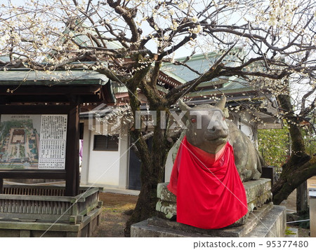 Kitano Tenman-gu Shrine Kitano Tenman-gu Shrine 95377480