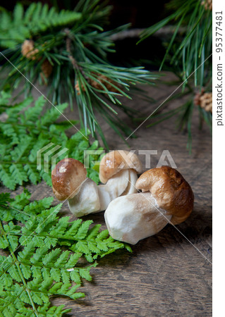Porcini mushroom commonly known as Boletus Edulis on vintage wooden background.. Porcini mushroom commonly known as Boletus Edulis on vintage wooden background.. 95377481
