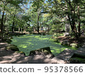 Japanese-style garden landscape with a pond 95378566