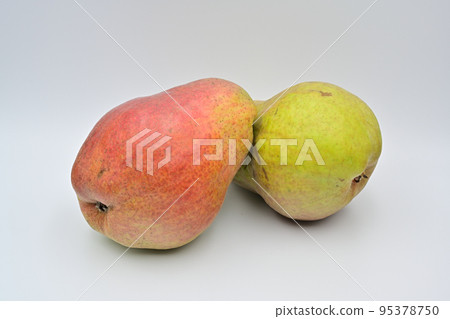 梨紅巴特 95378750