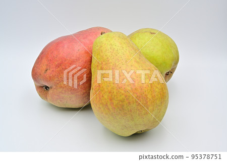 梨紅巴特 95378751