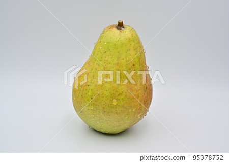 梨紅巴特 95378752