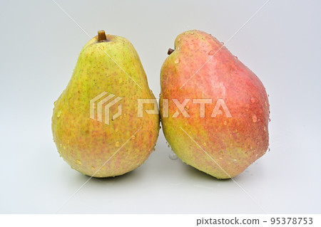 梨紅巴特 梨紅巴特 95378753