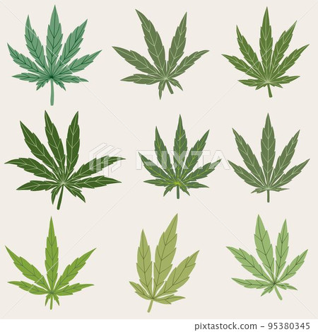 simplicity cannabis leaf freehand drawing collection. 95380345
