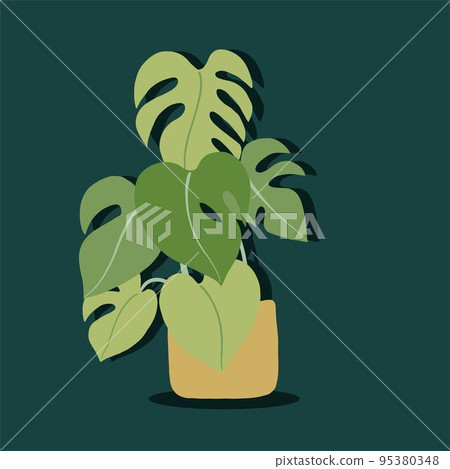 Simplicity monstera plant freehand drawing flat design. 95380348