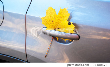 Falling maple leaves are stuck in the door handle of the car. 95380672