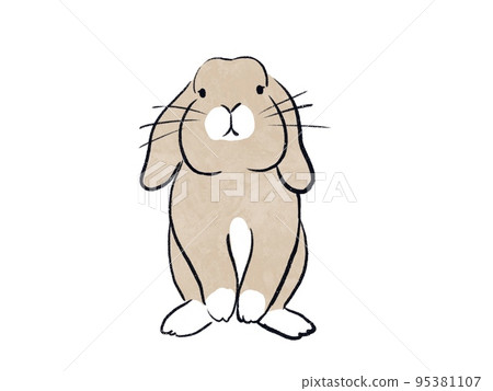 The front face of a rabbit with drooping ears The front face of a rabbit with drooping ears 95381107