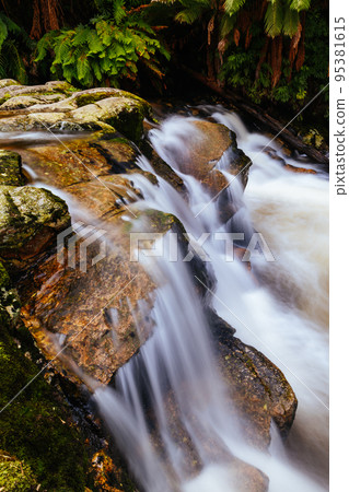 Halls Falls in Pyengana Tasmania Australia Halls Falls in Pyengana Tasmania Australia 95381615