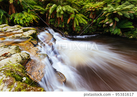 Halls Falls in Pyengana Tasmania Australia Halls Falls in Pyengana Tasmania Australia 95381617