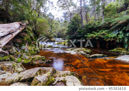 Halls Falls in Pyengana Tasmania Australia Halls Falls in Pyengana Tasmania Australia 95381618