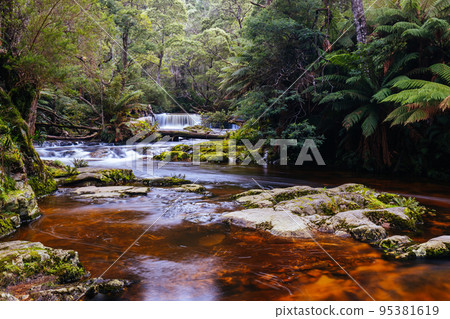 Halls Falls in Pyengana Tasmania Australia Halls Falls in Pyengana Tasmania Australia 95381619