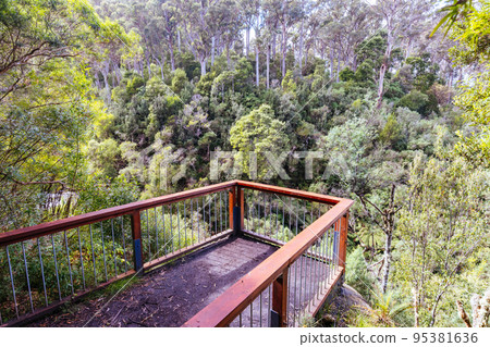 Halls Falls in Pyengana Tasmania Australia 95381636