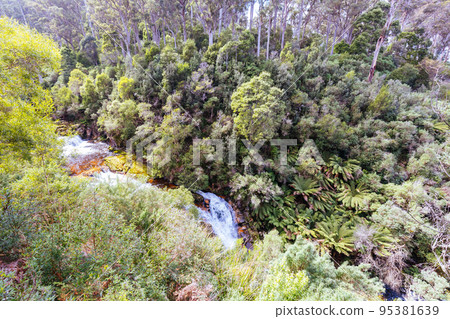 Halls Falls in Pyengana Tasmania Australia 95381639