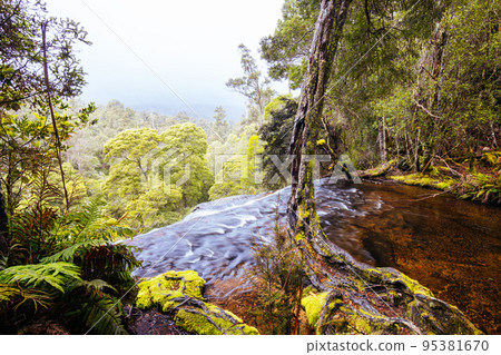 Horseshoe Falls in Mt Field National Park Tasmania Australia Horseshoe Falls in Mt Field National Park Tasmania Australia 95381670