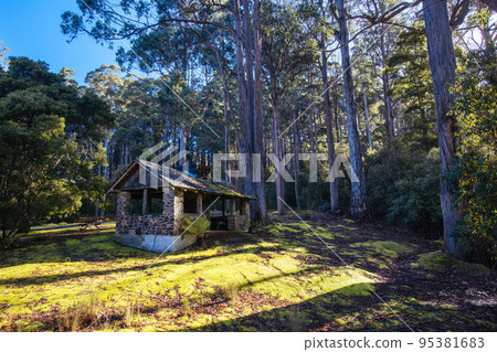 Mt Field National Park in Tasmania Australia 95381683