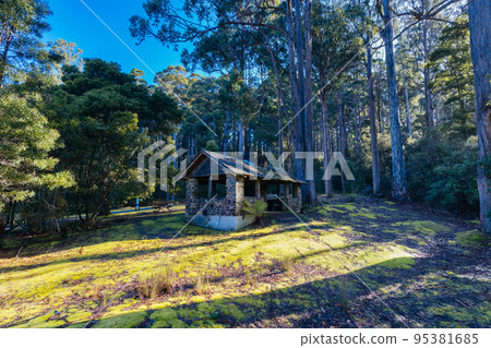 Mt Field National Park in Tasmania Australia Mt Field National Park in Tasmania Australia 95381685