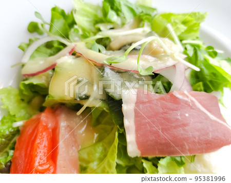 Vegetable Salad with Salmon and Prosciutto 95381996