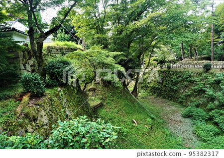 岡崎城護城河 95382317