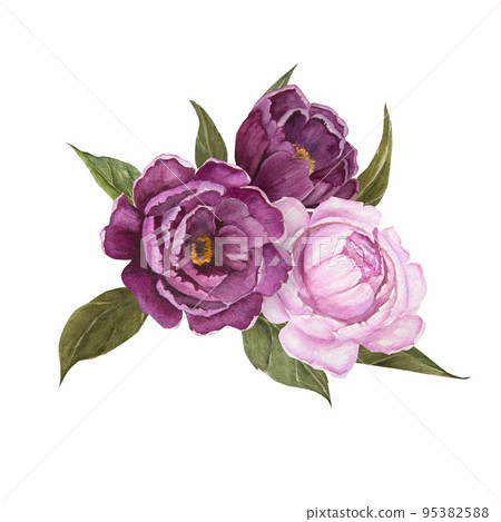 Flower watercolor illustration of peonies isolated, bouquet of flowers Flower watercolor illustration of peonies isolated, bouquet of flowers 95382588