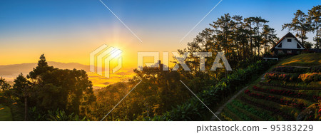 Tropical forest nature landscape view with mountain range sunrise at Huai Nam Dang National Park, Chiang Mai Thailand panorama 95383229