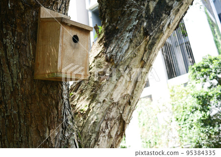 a bee hotel, Insect hotel on the tree a bee hotel, Insect hotel on the tree 95384335