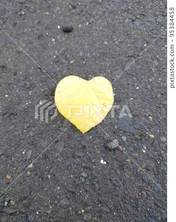 heart  95384458