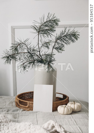 Empty Christmas greeting card, invitation mockup. Table with natural linen tablecloth. Pine tree branches in vase. White little pumpkins, wicker tray. Winter, Halloween holiday. Blurred background. 95384537