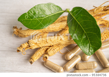 Ginseng, dried vegetable herb. Healthy food famous export food in Korea country. 95384736