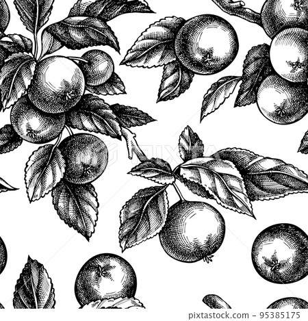 Gardening seamless pattern background design. Engraved style. Hand drawn apples. Gardening seamless pattern background design. Engraved style. Hand drawn apples. 95385175