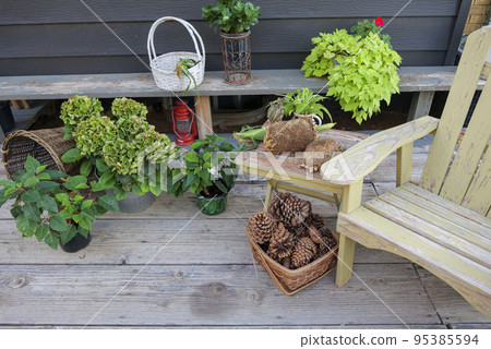 large pine cones in a basket, on a backyard autumn still life large pine cones in a basket, on a backyard autumn still life 95385594