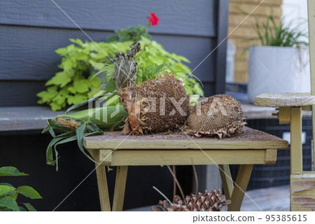wilted, ripe, dry sunflowers lie on a wooden table in the backyard, autumn still life 95385615