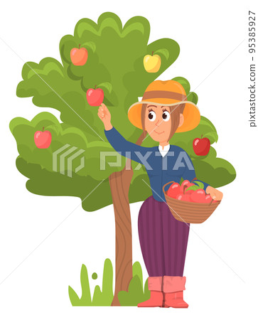 Woman harvesting apples from tree. Cartoon gardener worker 95385927