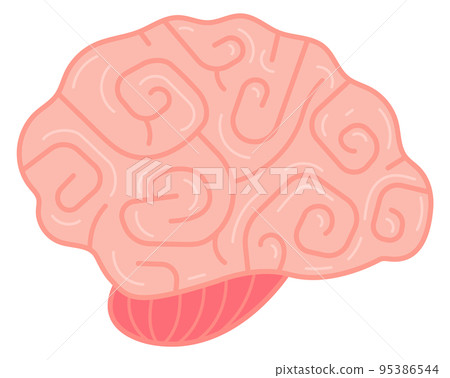 Human brain icon. Psychology symbol. Anatomy sign Human brain icon. Psychology symbol. Anatomy sign 95386544