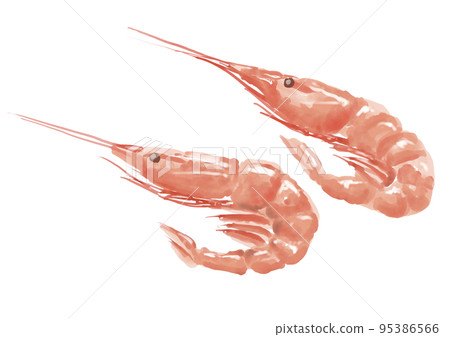 Watercolor shrimp 01_01 Watercolor shrimp 01_01 95386566